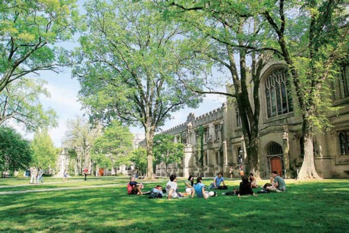 Đại học Princeton, tọa lạc ở New Jersey là một trong những ngôi trường cổ xưa nhất nước Mỹ, được thành lập từ năm 1746. Thư viện của trường có khoảng hơn 11 triệu quyển sách, trong đó thư viện chính là thư viện Firestone chứa khoảng 4 triệu cuốn sách.